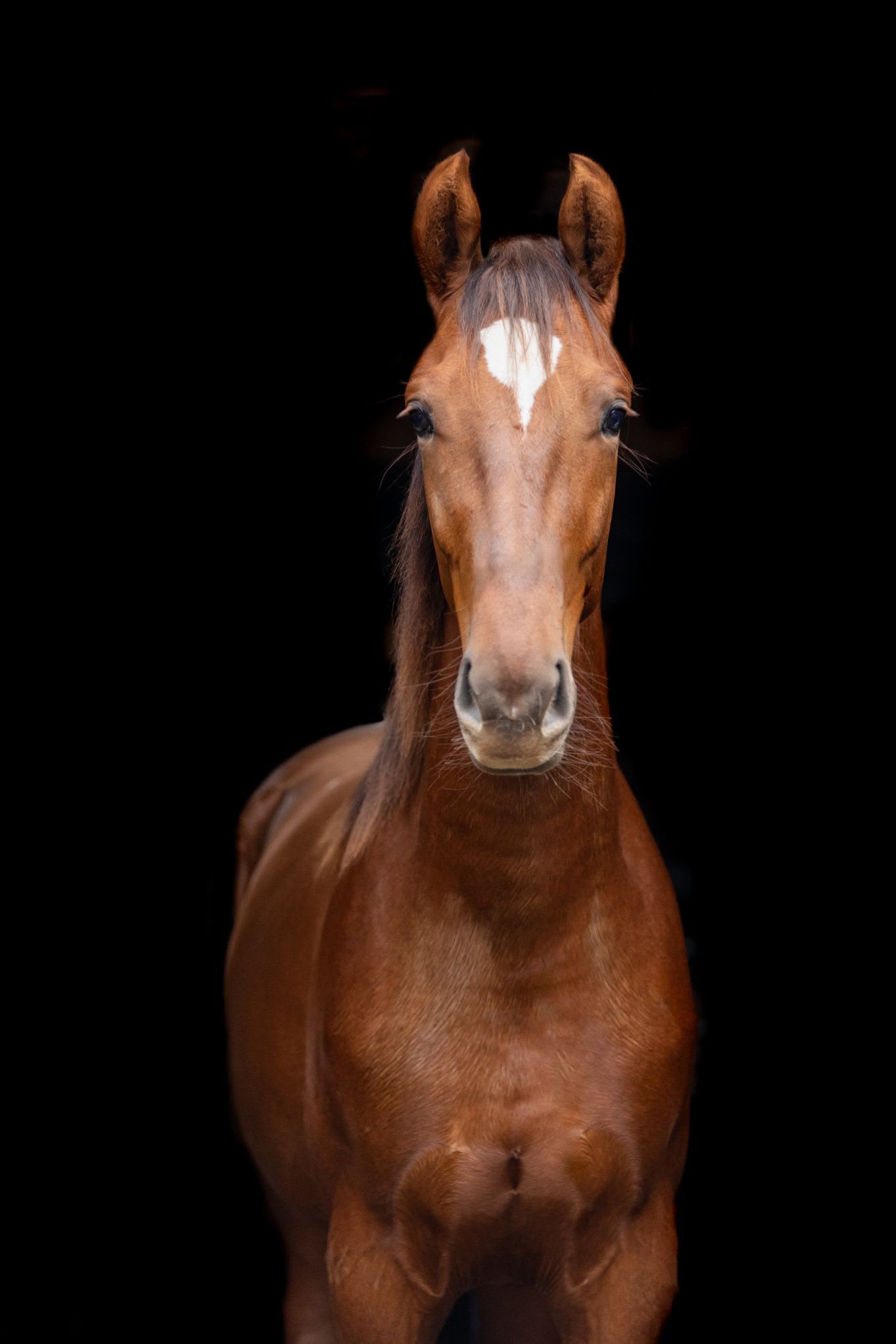 Utalpha